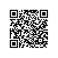 新中式苏式实木办公家具