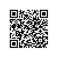 GBT 4772.1-1999 旋转电机尺寸和输出功率等级 第1部分 机座号56~400和凸缘号55~1080