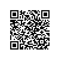 TCMIF 168-2022 无刷双馈高压调速电动机