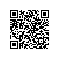 皖南电机召开信息化系统升级项目启动大会