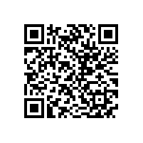 皖南电机召开驻外销售经理迎春座谈会