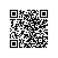 中国质量协会聂宗凤诊断师为皖南电机 QC 骨干培训赋能