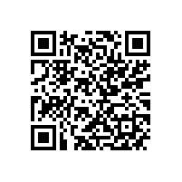 质量抽查的历史性突破：H355电机受检