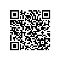 安标国家中心专家组来皖南电机进行监督评审