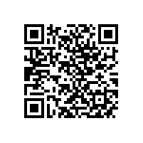 中国质量协会聂宗凤诊断师为皖南电机 QC 骨干培训赋能