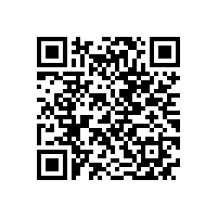 孙跃应邀参加高效电机技术推广交流会