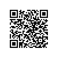 皖南电机信息化升级项目蓝图汇报会