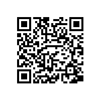 皖南电机样本-NS系列