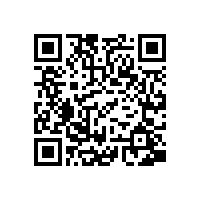 德国电机专家应邀来我公司做技术指导工作