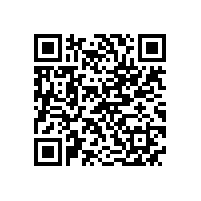 第十七届中国电机及系统发展论坛在泾县隆重举行