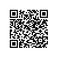 “高速动车组机车试验台用异步牵引电动机的研发”项目通过省级验收