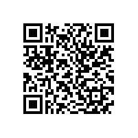 省科技厅副巡视员王学雷一行来皖南电机调研