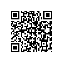 皖南电机党委中心组集中学习十八届六中全会精神