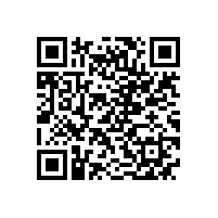 皖南高压电机-Y2系列高压（6kV）