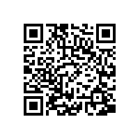 宣城市委书记李中来皖南电机调研