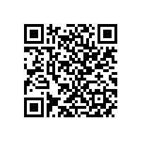 优化管理效能 筑牢新质生产力根基