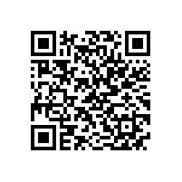 安徽省“调转促”专家组来皖南电机支招