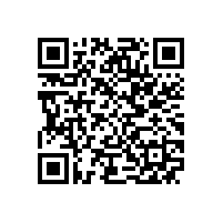 安徽皖南电机股份有限公司 2020年度社会责任报告