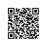 德国电机专家应邀来我公司做技术指导工作