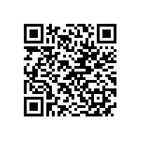 高压电机与低压电机相比有哪些优缺点