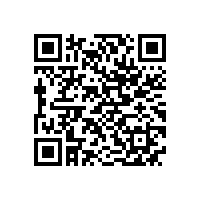 合工大智能院专家来访