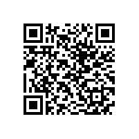 QWN.211-2021 YJZ2系列机床专用三相异步电动机技术条件（机座号80～355）