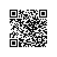 皖南电机党委召开 纪念“七一”暨“两先一优”表彰会