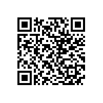 皖南电机获“安徽省优秀民营企业”荣誉称号