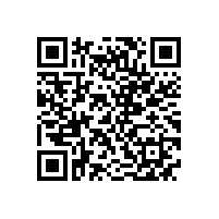 皖南高压电机-YHP系列（电站磨煤机专用）