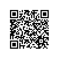 CEO办公经典案例