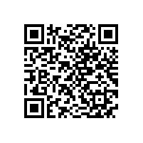 NS系列超高效不锈钢电机