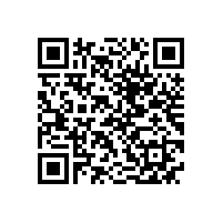 QWN.291-2021 YE4系列(IP55)三相异步电动机技术条件（机座号63～355）2