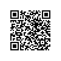 QWN.621-2022 YFBBP 系列粉尘防爆型变频调速三相异步电动机技术条件(机座号80～355)