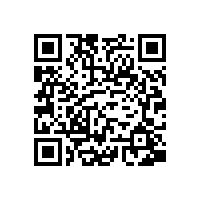 皖南电机召开基干民兵点验大会