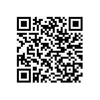 德国电机专家应邀来我公司做技术指导工作