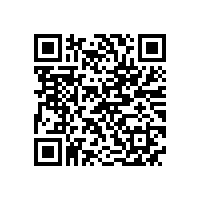 第十七届中国电机及系统发展论坛在泾县隆重举行