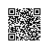 皖南高压电机-YHP系列（电站磨煤机专用）