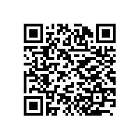 CEO办公经典案例