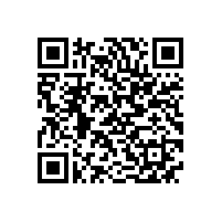 安标国家中心专家组来皖南电机进行监督评审