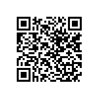 QWN.291-2021 YE4系列(IP55)三相异步电动机技术条件（机座号63～355）2