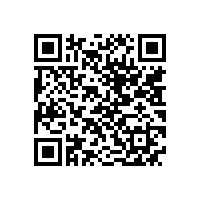 QWN.300-2022 YBX4系列高效率隔爆型三相异步电动机技术条件 (机座号80～355)