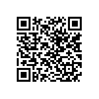 QWN.621-2022 YFBBP 系列粉尘防爆型变频调速三相异步电动机技术条件(机座号80～355)