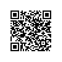 QWN.630-2022 YE5系列（IP55）三相异步电动机 技术条件（机座号63-355）