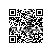 皖南电机通过上海宝钢二方体系审核