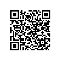 皖南电机信息化升级项目蓝图汇报会