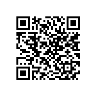 皖南电机应邀参加中国港口协会筒仓与散粮运输分会年度工作会