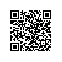 皖南电机组织召开铸件质量提升会