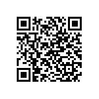 第十七届中国电机及系统发展论坛在泾县隆重举行