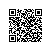 市政协副主席周小红来皖南电机调研