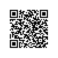 皖南电机召开驻外销售经理迎春座谈会